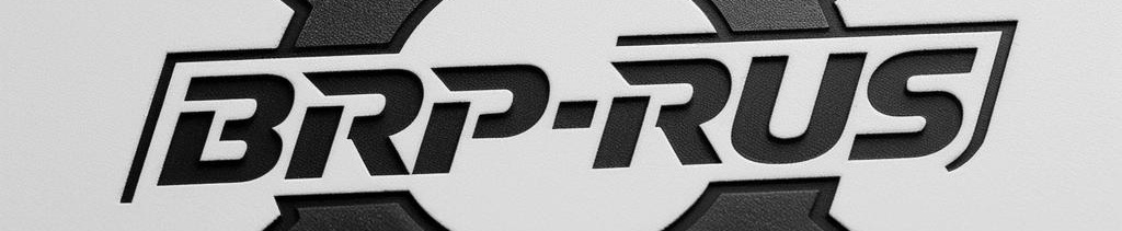 d261a343-74d1-44b8-a00b-926990a77441-brp-rus логотип.jpeg